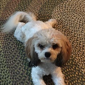 Meet your Posher, Margaret